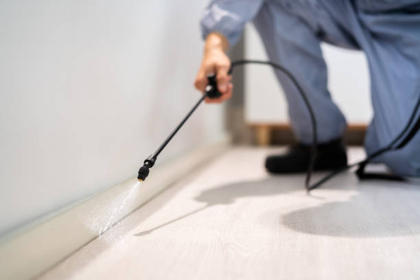 Licensed Mosquito Control service in Arkansas City, KS - Nex Pest Control