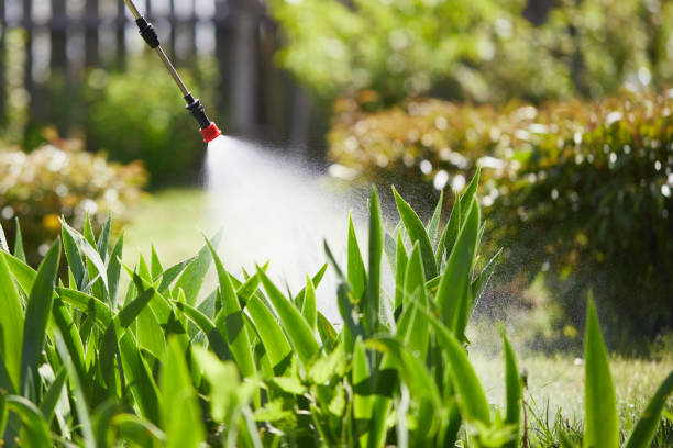 24/7 Emergency Mosquito Control experts in Arkansas City, KS