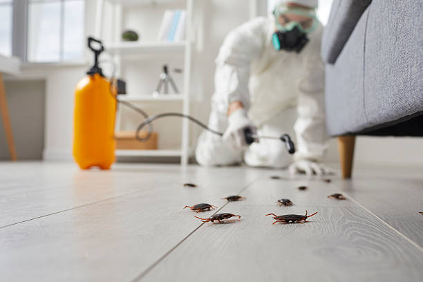 Trusted Rodent Control service in Arkansas City, KS - Nex Pest Control