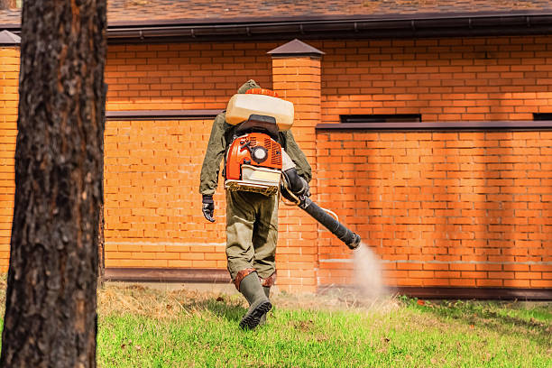 Trusted Ant Control service in Arkansas City, KS - Nex Pest Control